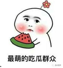 娱乐吃瓜君被多次投诉,屡遭投诉，真相与争议背后的网络风云